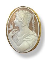 Spilla Mandile 1922 Donna Cammei antichi in Oro Conchiglia 1MSPC8 - 1MSPC8